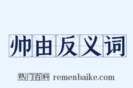 帅由反义词是什么意思的图片